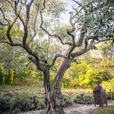 Spacious Provence In 4 Hectares Of Land